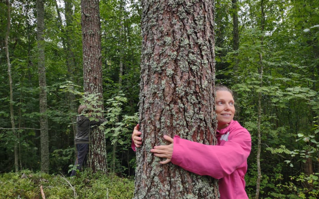 Reetta Hulmi: Luontokadon pysäyttäminen on eettistä, älykästä ja taloudellista